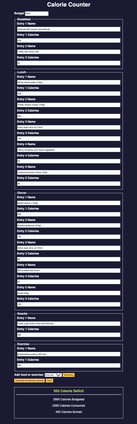 Calorie Counter Project Preview - Practical Example